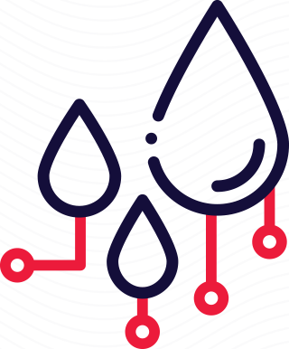 Digital Water